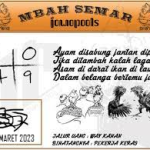 jowopools-2023-03-8