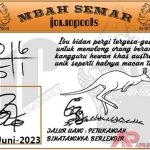 jowopools-2023-06-08