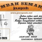 jowopools2023-07-02